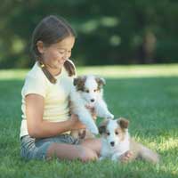 Girl playing with two puppies in the grass