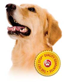 Golden retriever with quality seal